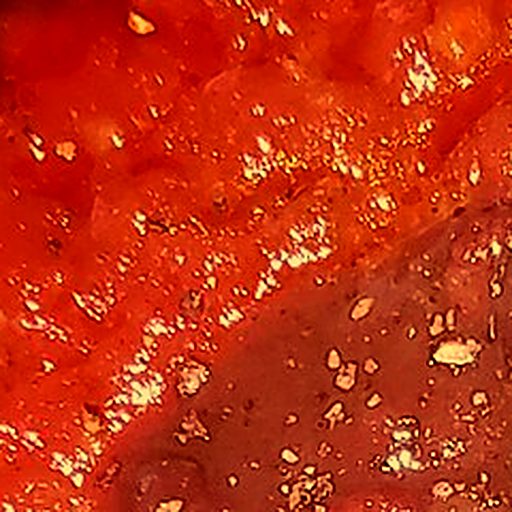 Panela de molho de tomate cozinhando lentamente no fogão da cozinha.